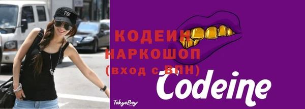 соль ск Бородино
